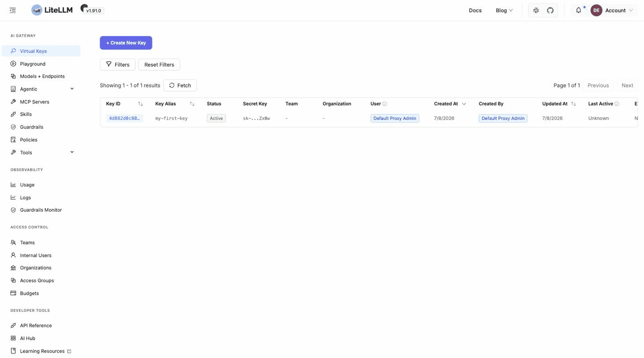 LiteLLM Screenshot